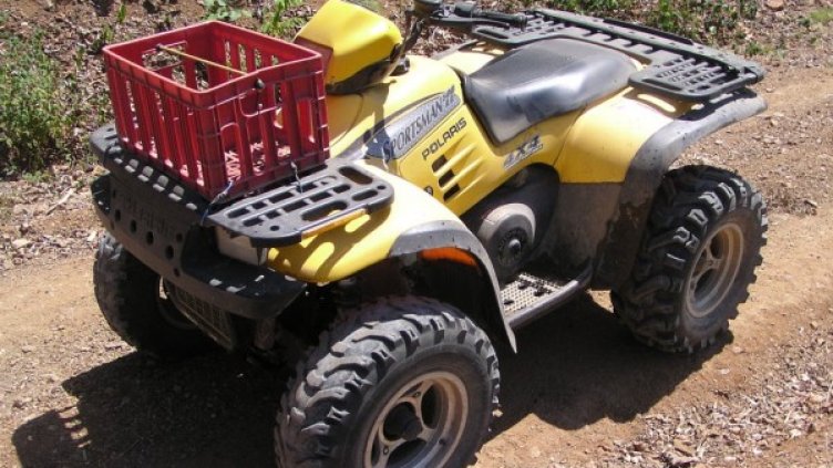 Снимка: Pixabay