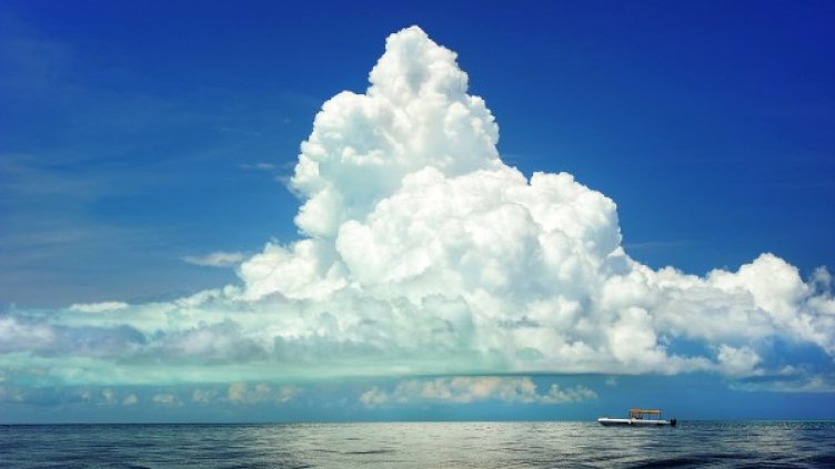 Снимка: Pixabay