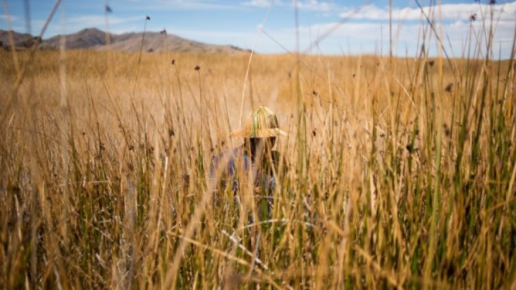 Снимки: Reuters