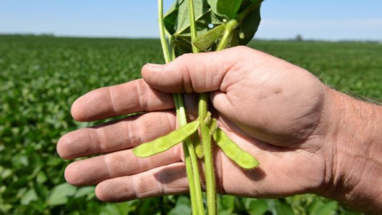 Снимки: Reuters