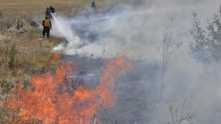 Снимка: Булфото, архив