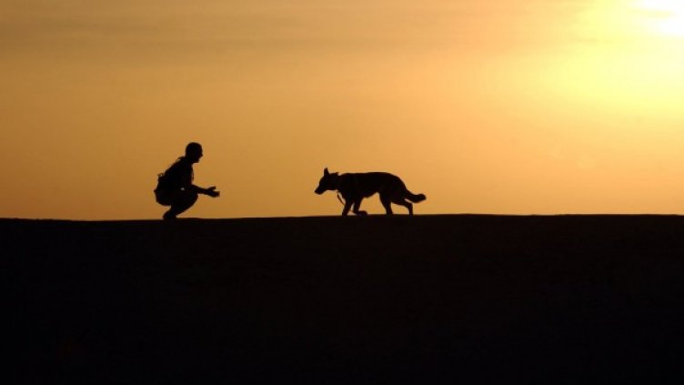 Снимка: pexels.com