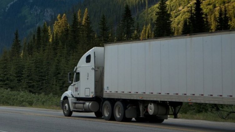 Снимка: Pixabay