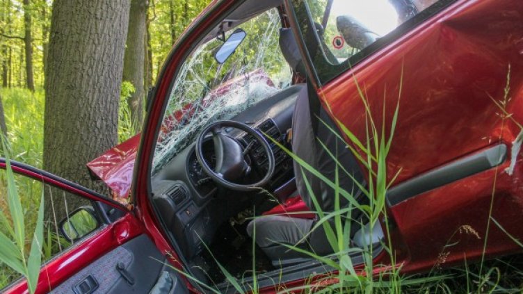 Снимка: Pixabay