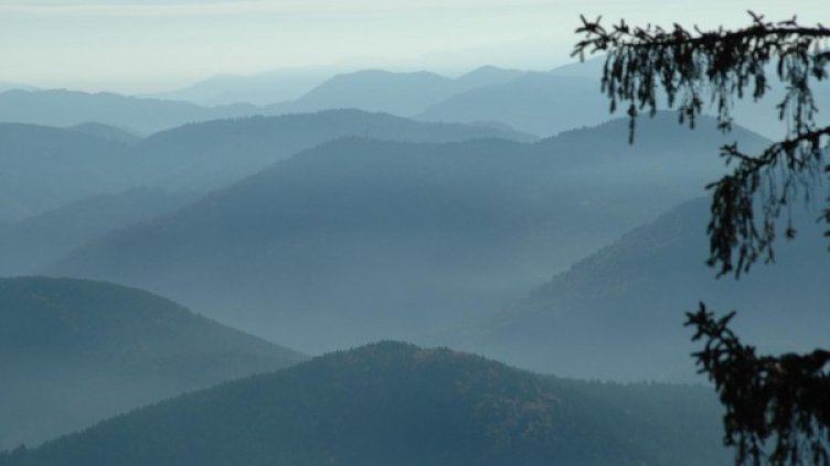 Архив: Булфото