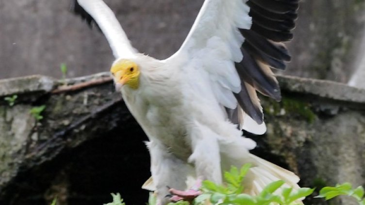 Снимка: архив, Булфото