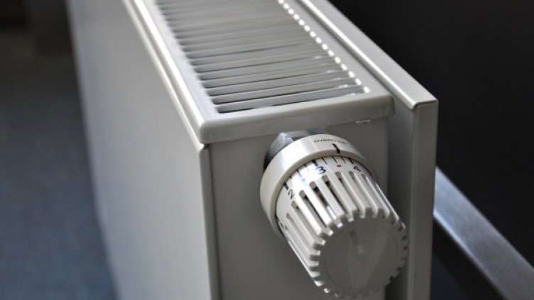 Снимка: Pixabay