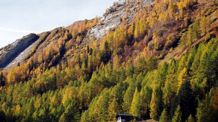 Снимка: Reuters, архив