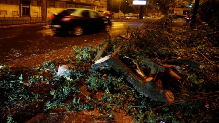 Снимка: Reuters, архив