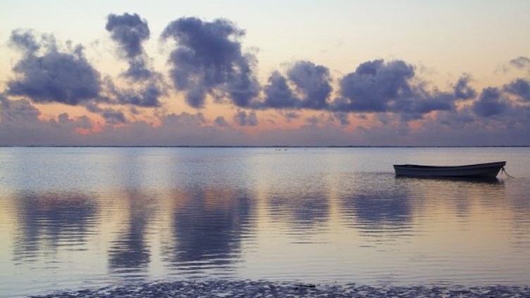 Снимка: Pixabay