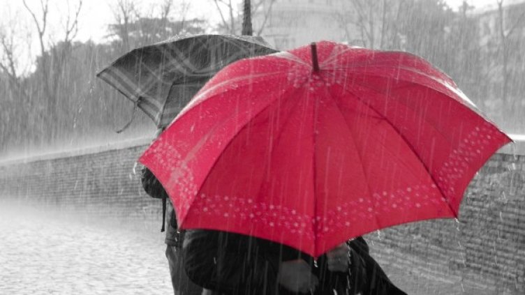 Снимка: Pixabay