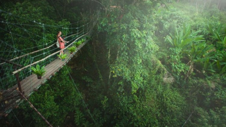 Снимка: Pexels