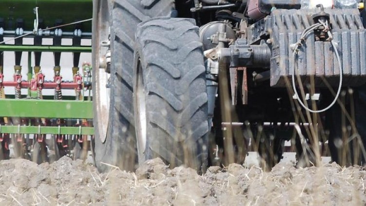 Снимка: архив, БулФото