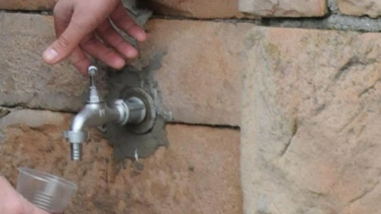 Архив: Булфото