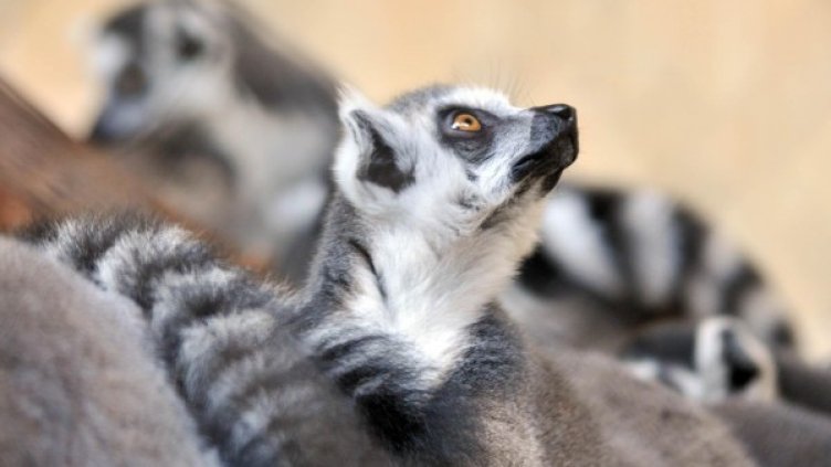 Снимка: архив "Булфото"