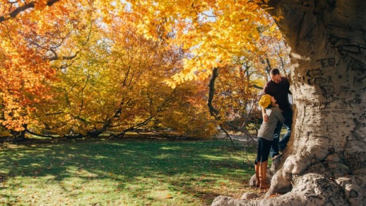 Снимка: Pixabay