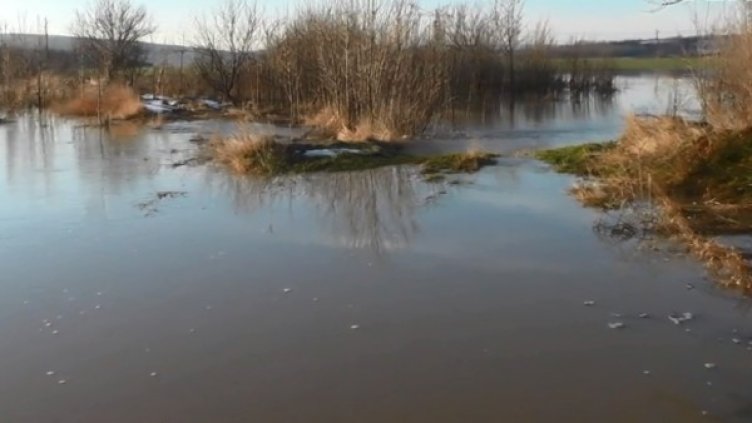 Архив: Булфото