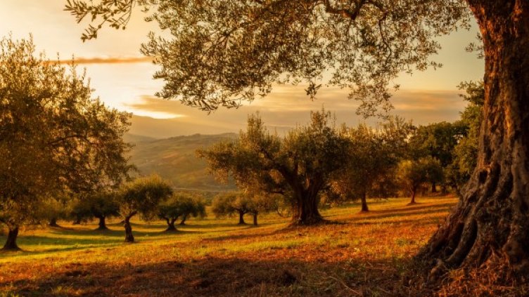 Седмицата си отива със слънчево време, уикендът остава топло