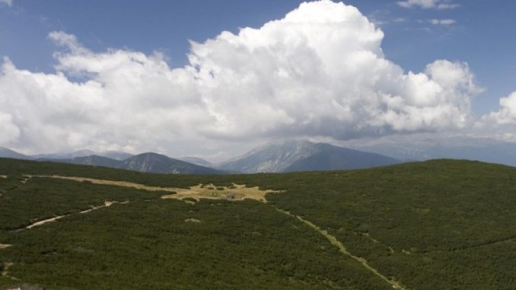 Снимка: архив, БулФото