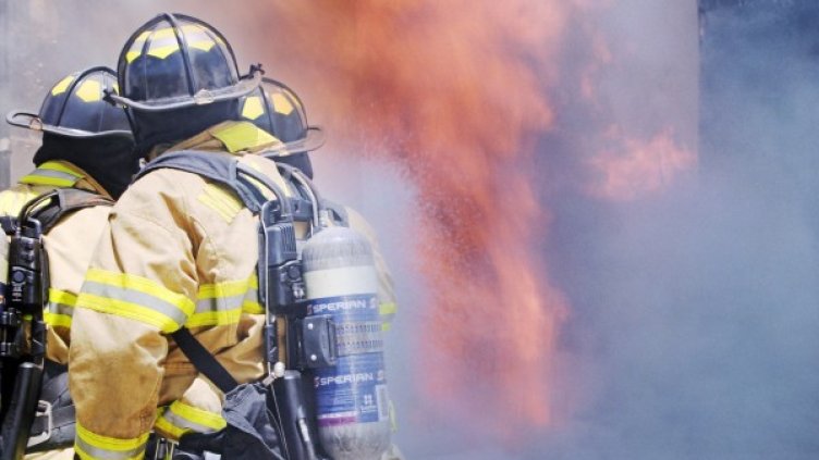 Снимка: pixaBay