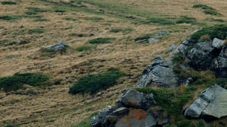 Снимка: архив, БулФото