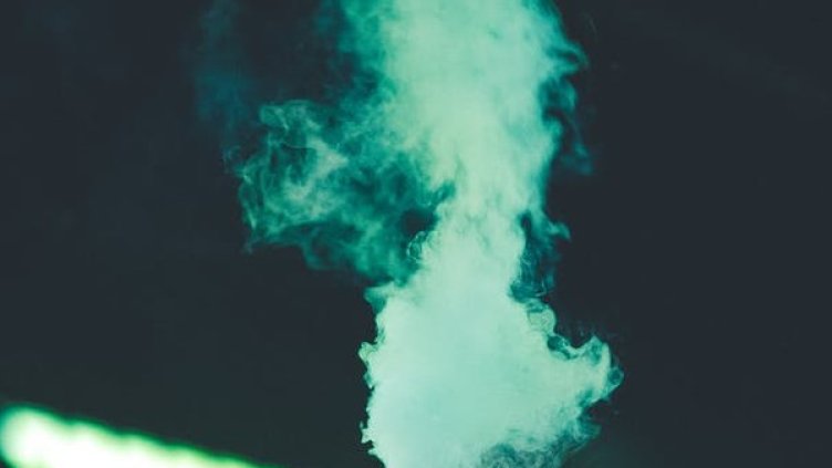 Снимка: pexels.com