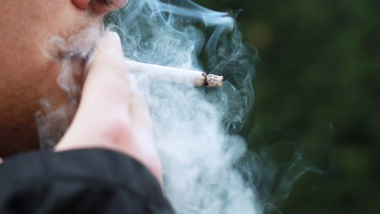 Снимка: Pixabay