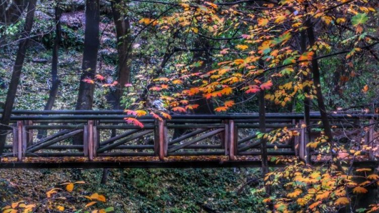 Снимка: БТА, архив