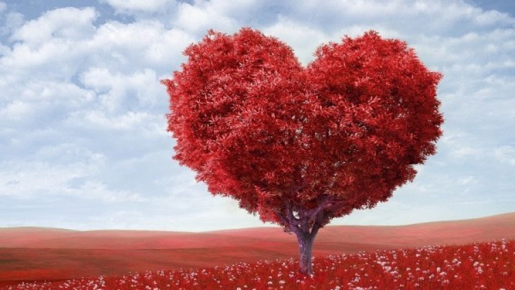 Снимка: Pexels