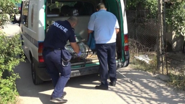 Снимка: Булфото, архив