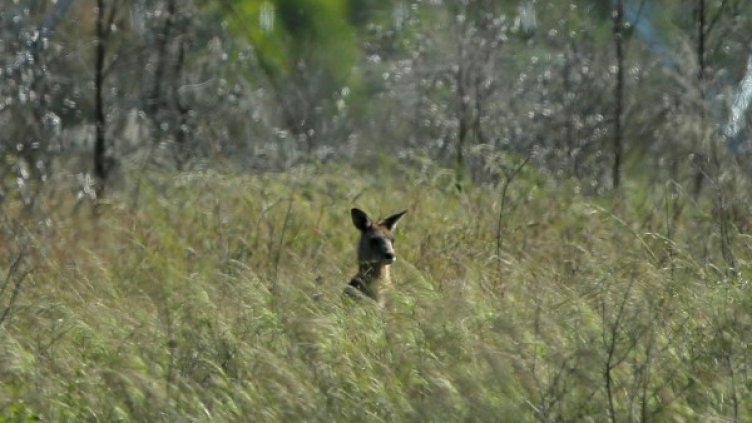 Снимка: архив, Ройтерс