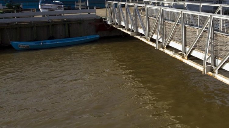 Архив: БУлфото