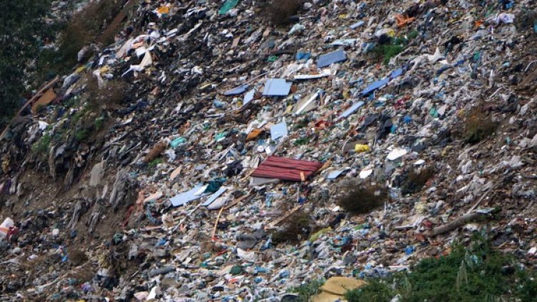 Архив: Булфото