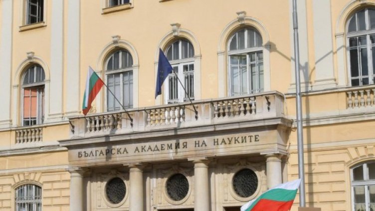 Снимка: BulFoto архив