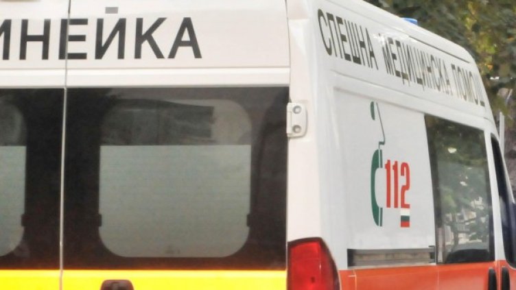 Снимка: BulFoto архив