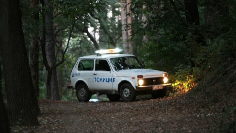 Снимка: архив "Булфото"