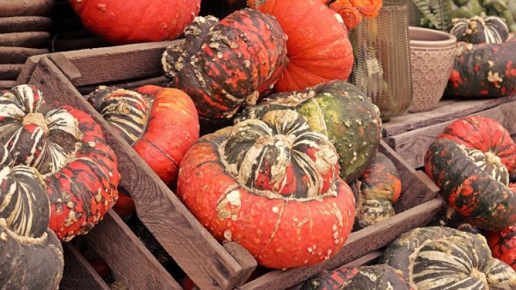 Снимка: Pixabay