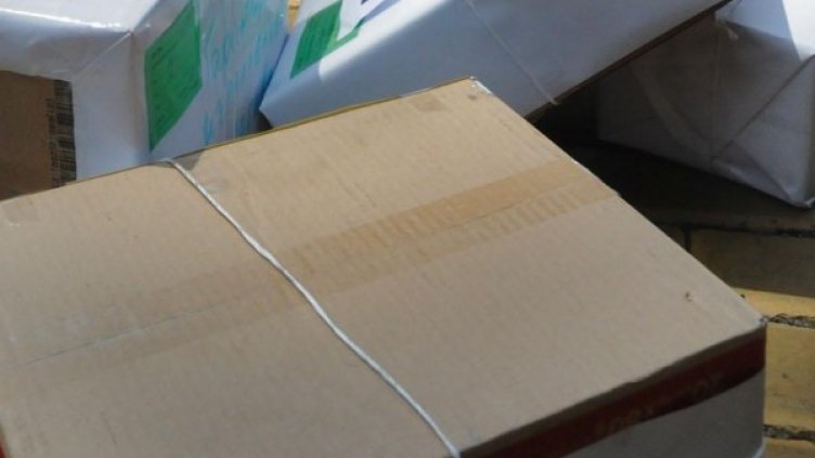 Снимка: архив, БулФото