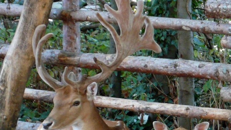 Снимка: архив, БулФото