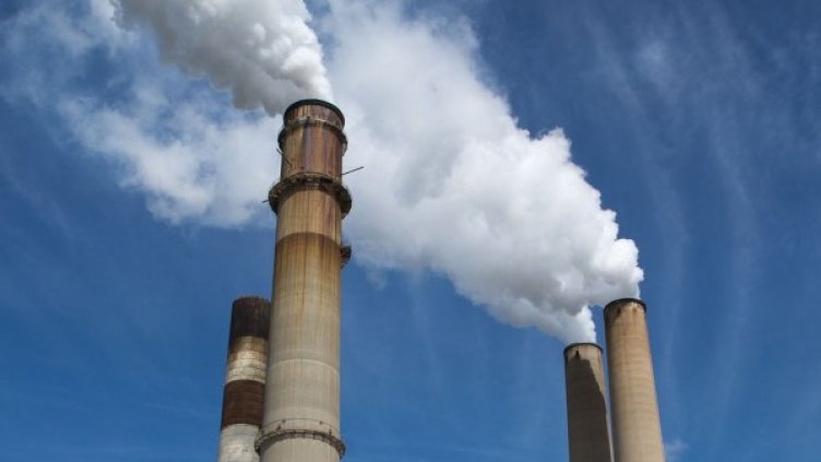 Снимка: Pixabay