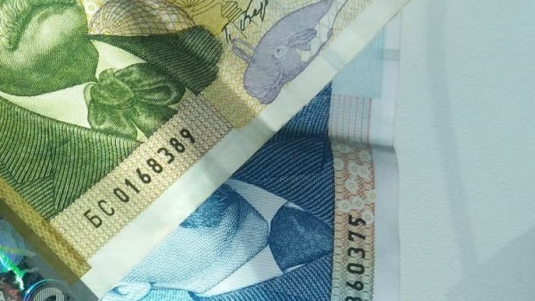 Снимка: Dnes.bg