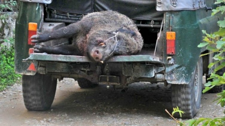 Снимка: Булфото, архив