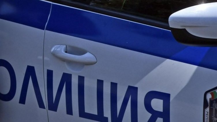 Снимка: архив, БулФото