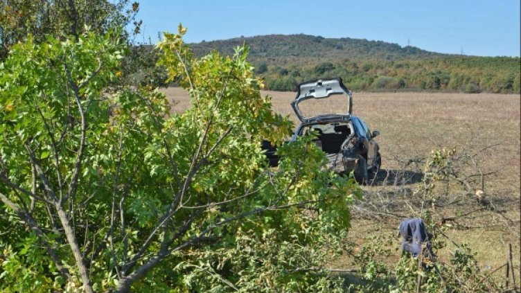 Снимка: архив "Булфото"