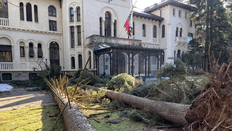 Снимка: БГНЕС