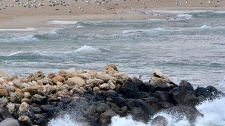 Снимка: БТА, архив