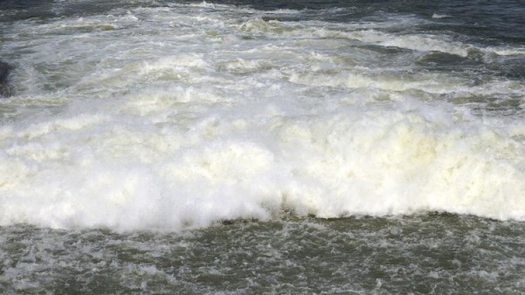 Снимка: архив Булфото