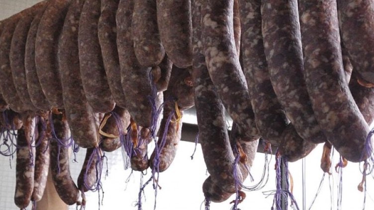 Снимка: BulFoto архив