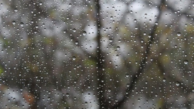 Снимка: Pixabay