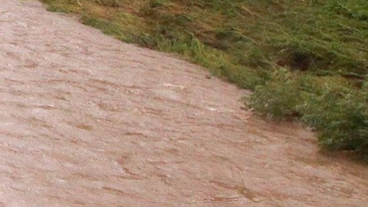 Снимка: архив Булфото